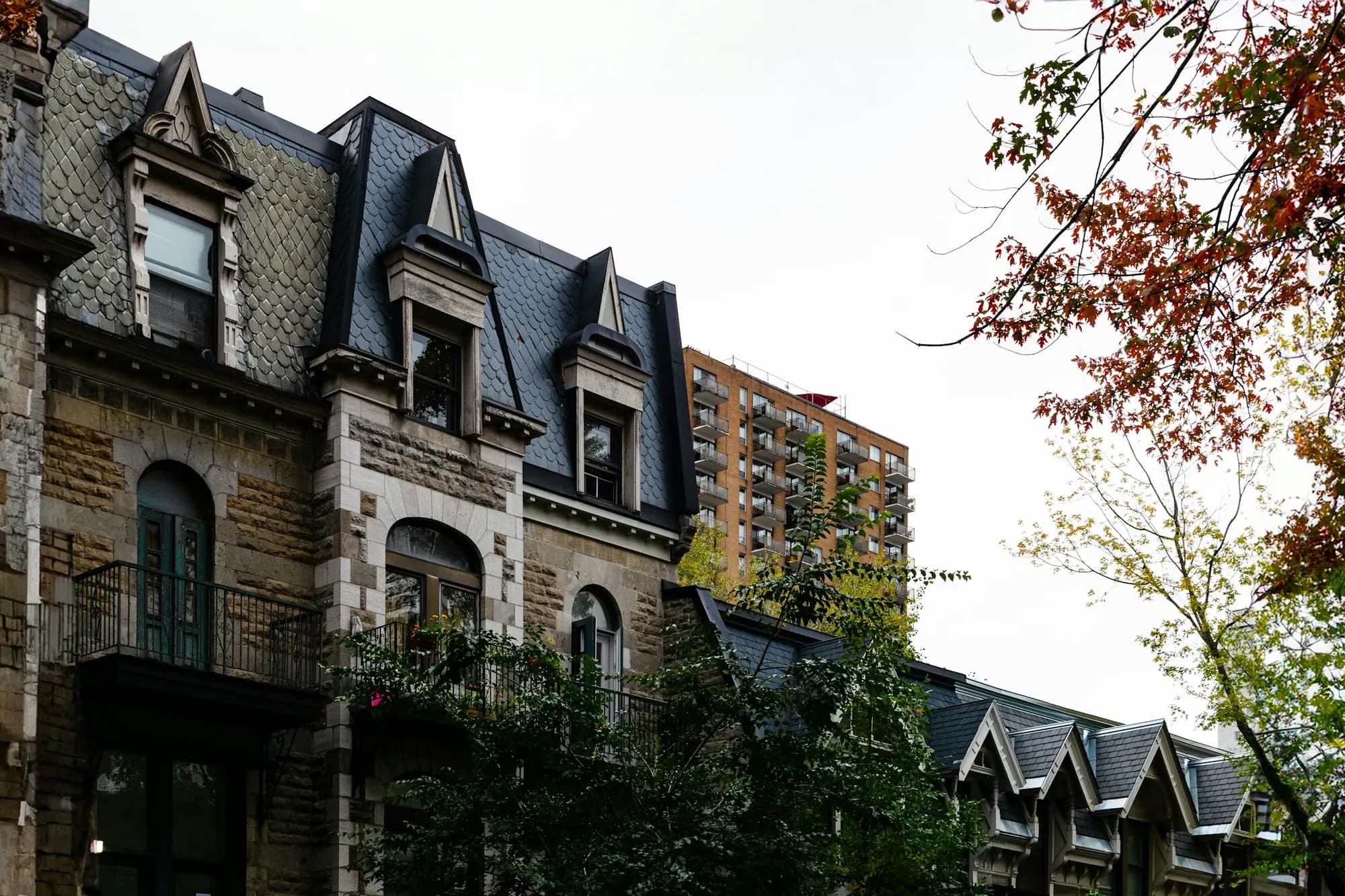 A row of greystone plexes in Montréal
