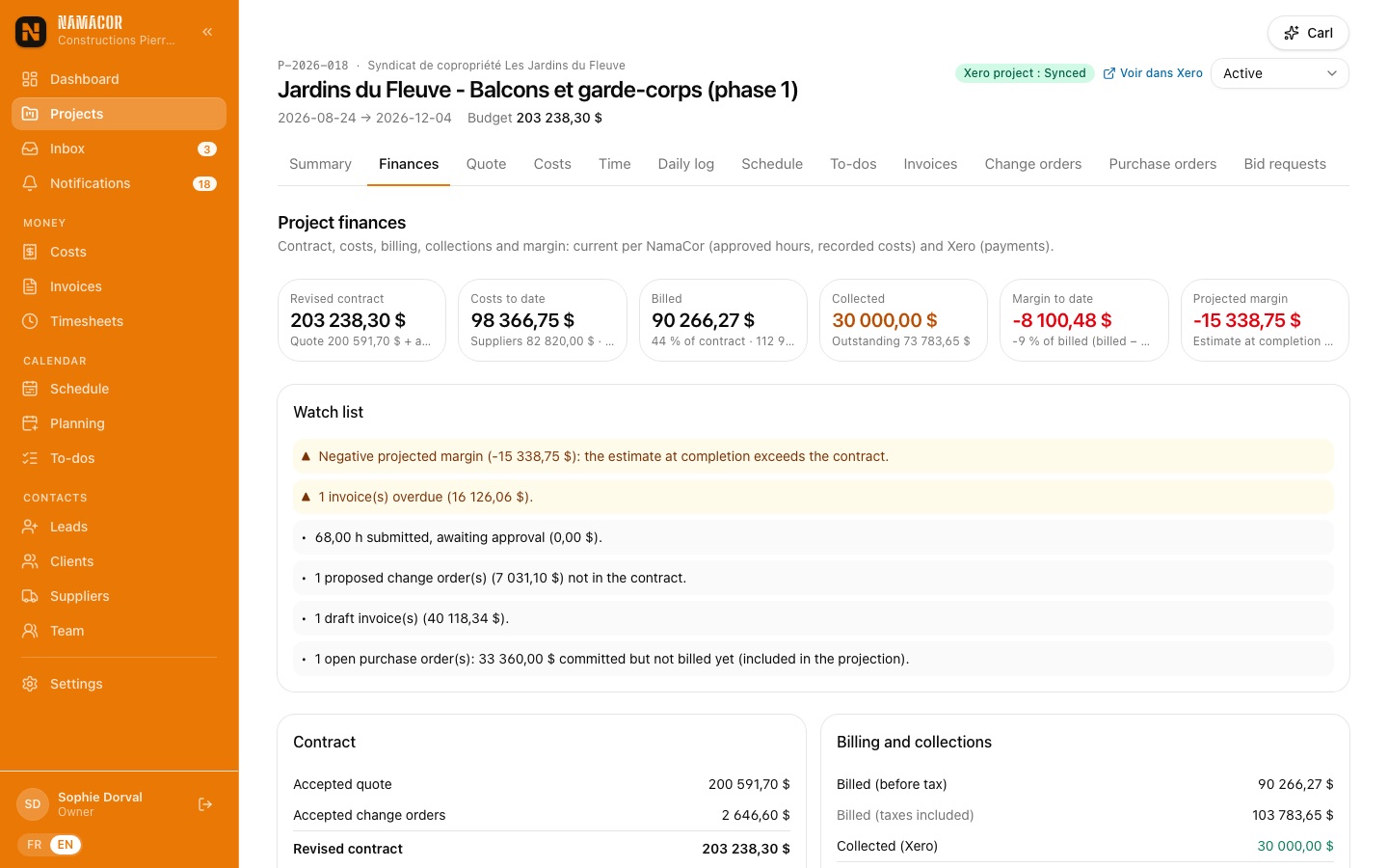 Project finances
